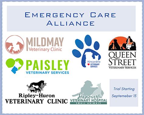 liberty village vet|queen street vet.